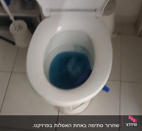 אסלה עם מים כחולים בחדר אמבטיה